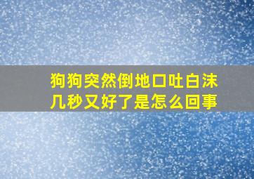 狗狗突然倒地口吐白沫几秒又好了是怎么回事