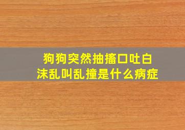 狗狗突然抽搐口吐白沫乱叫乱撞是什么病症