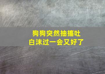 狗狗突然抽搐吐白沫过一会又好了