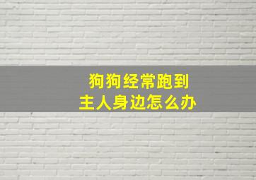 狗狗经常跑到主人身边怎么办