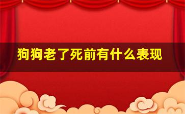 狗狗老了死前有什么表现