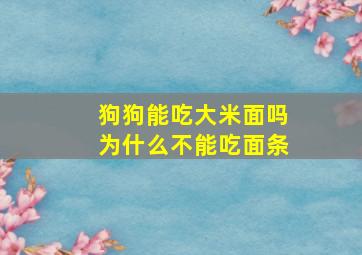 狗狗能吃大米面吗为什么不能吃面条