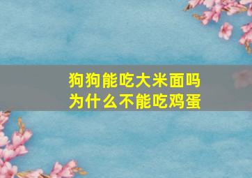 狗狗能吃大米面吗为什么不能吃鸡蛋