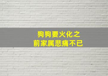 狗狗要火化之前家属悲痛不已