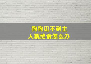 狗狗见不到主人就绝食怎么办