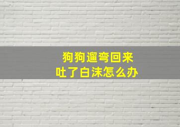 狗狗遛弯回来吐了白沫怎么办