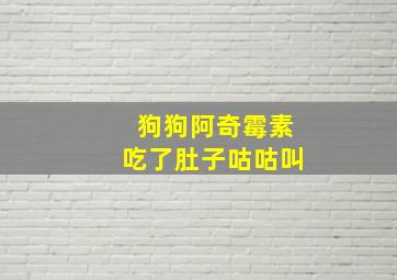 狗狗阿奇霉素吃了肚子咕咕叫