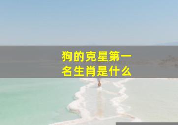 狗的克星第一名生肖是什么