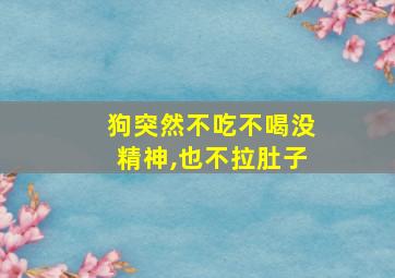 狗突然不吃不喝没精神,也不拉肚子