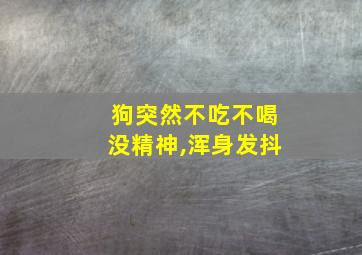 狗突然不吃不喝没精神,浑身发抖