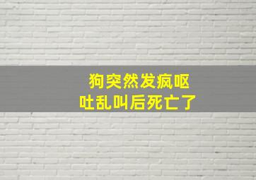 狗突然发疯呕吐乱叫后死亡了