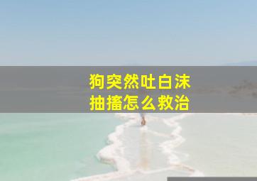 狗突然吐白沫抽搐怎么救治