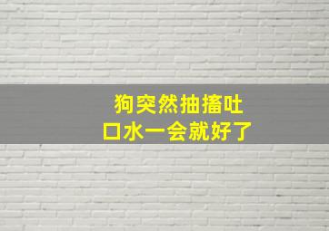 狗突然抽搐吐口水一会就好了