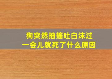 狗突然抽搐吐白沫过一会儿就死了什么原因