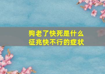 狗老了快死是什么征兆快不行的症状