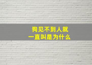 狗见不到人就一直叫是为什么