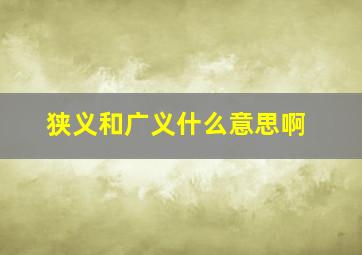 狭义和广义什么意思啊