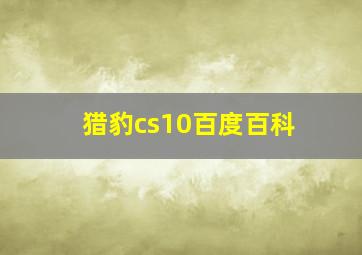 猎豹cs10百度百科