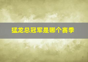 猛龙总冠军是哪个赛季