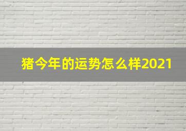 猪今年的运势怎么样2021