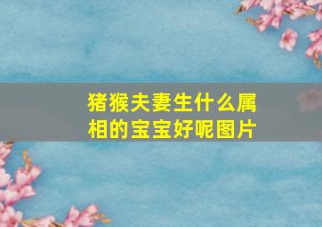 猪猴夫妻生什么属相的宝宝好呢图片