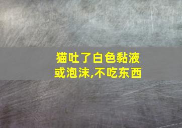 猫吐了白色黏液或泡沫,不吃东西