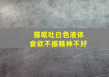 猫呕吐白色液体食欲不振精神不好