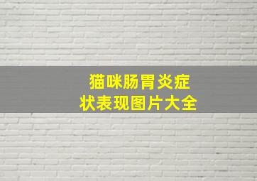 猫咪肠胃炎症状表现图片大全