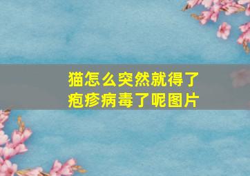 猫怎么突然就得了疱疹病毒了呢图片