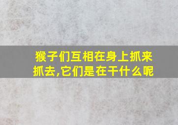 猴子们互相在身上抓来抓去,它们是在干什么呢