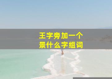 王字旁加一个景什么字组词