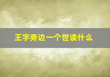 王字旁边一个世读什么