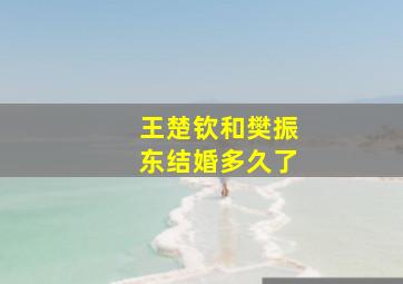 王楚钦和樊振东结婚多久了