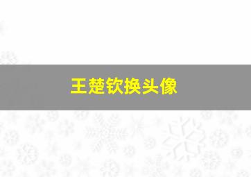 王楚钦换头像