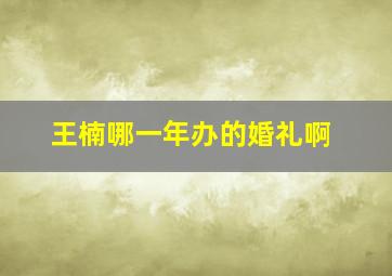 王楠哪一年办的婚礼啊