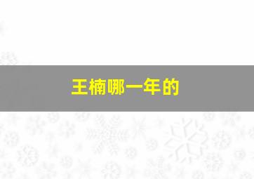 王楠哪一年的