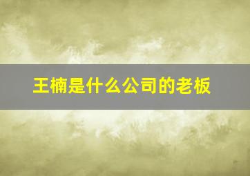 王楠是什么公司的老板