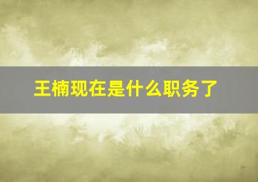 王楠现在是什么职务了