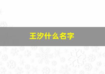 王汐什么名字