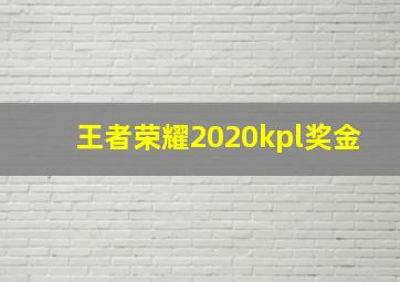 王者荣耀2020kpl奖金