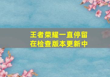 王者荣耀一直停留在检查版本更新中