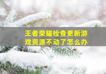 王者荣耀检查更新游戏资源不动了怎么办