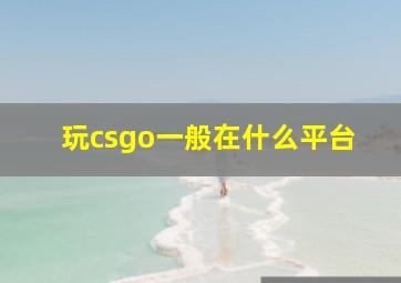 玩csgo一般在什么平台