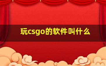 玩csgo的软件叫什么