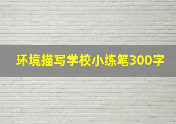 环境描写学校小练笔300字