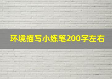 环境描写小练笔200字左右