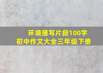 环境描写片段100字初中作文大全三年级下册