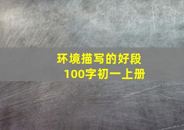 环境描写的好段100字初一上册