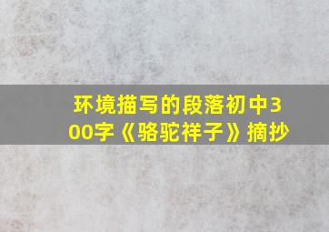 环境描写的段落初中300字《骆驼祥子》摘抄