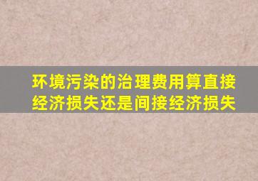 环境污染的治理费用算直接经济损失还是间接经济损失